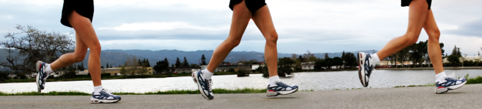 Bewerbertraining